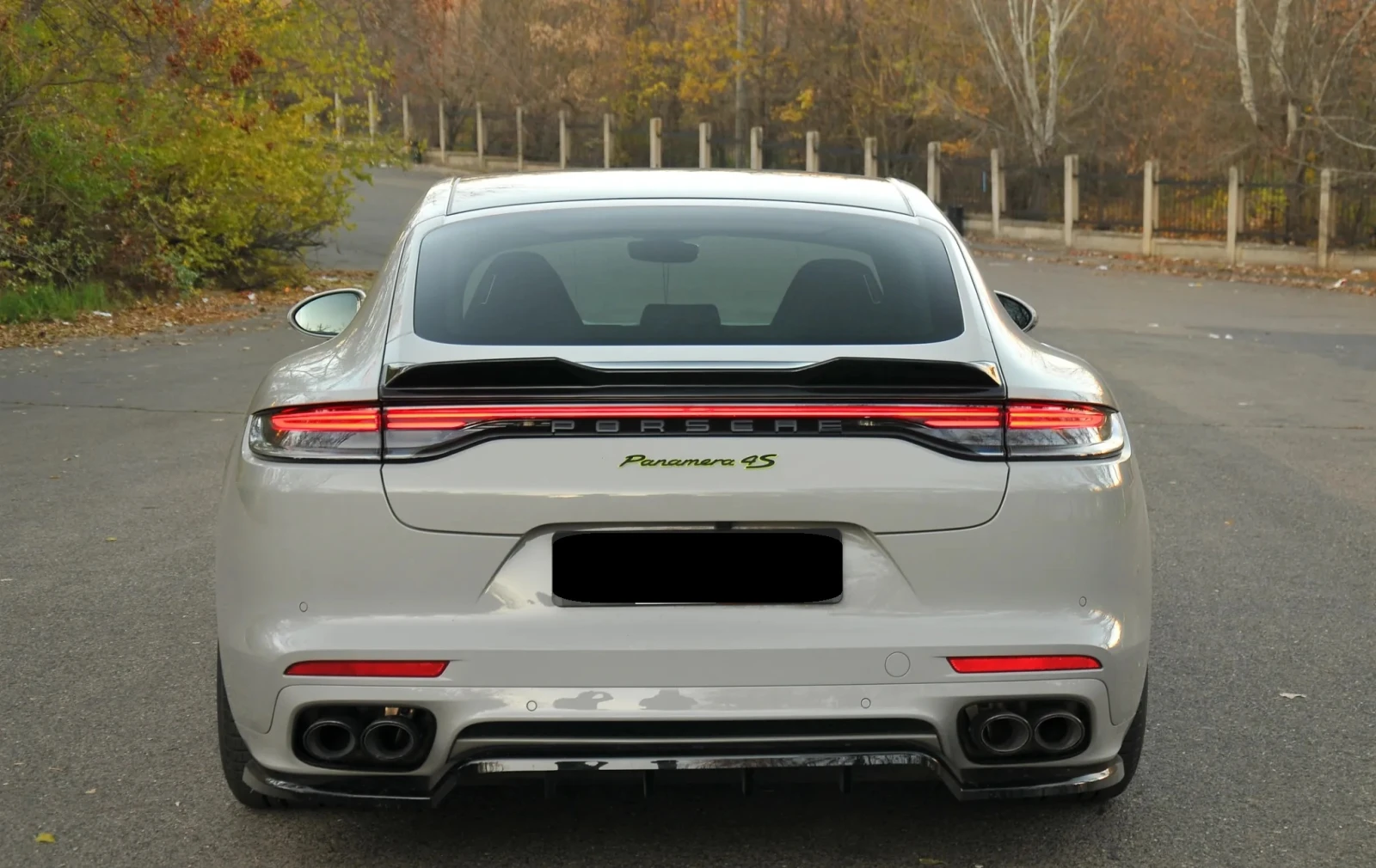 Porsche Panamera 4S 2.9 V6 E-Hybrid - изображение 8