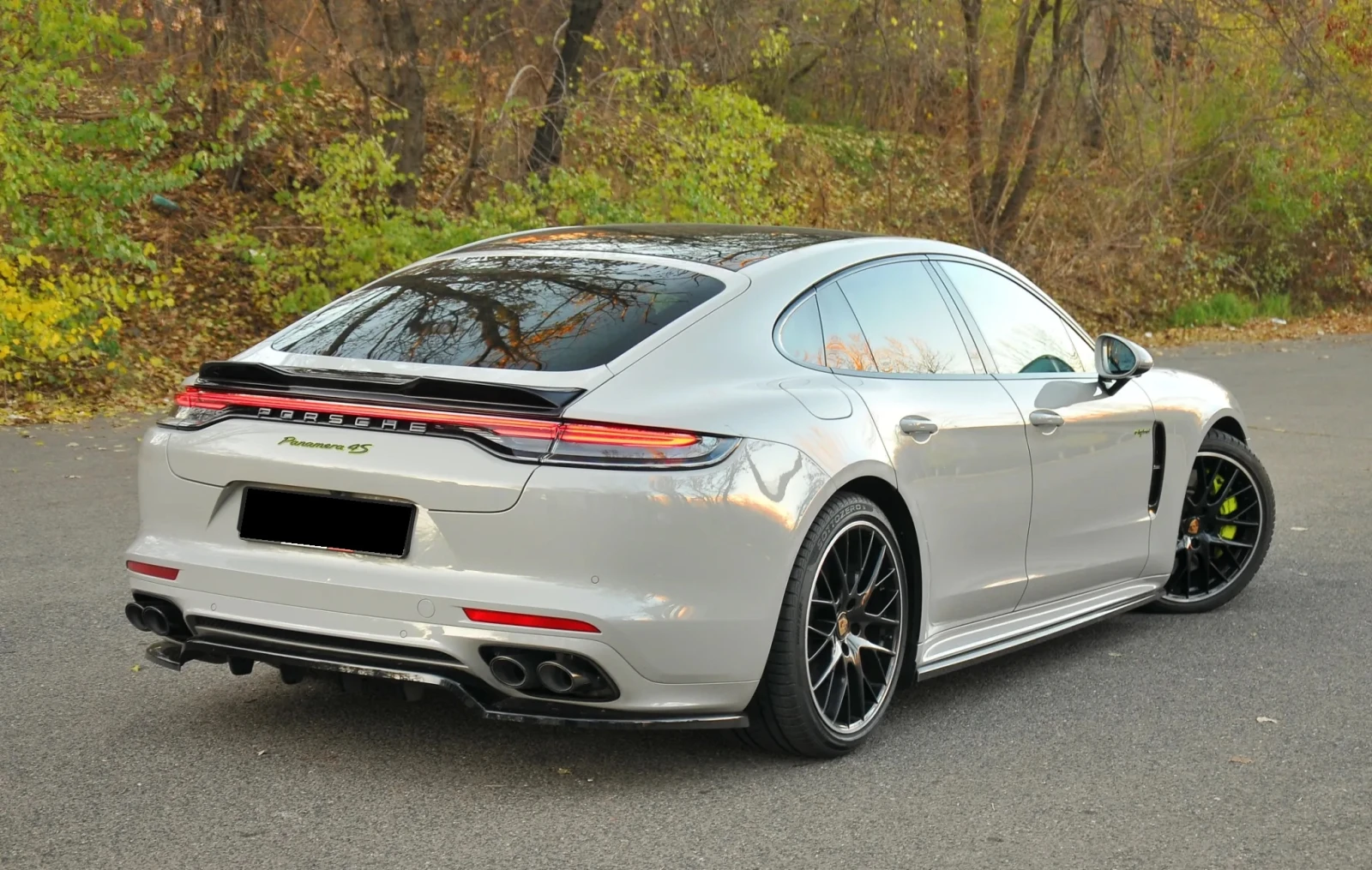 Porsche Panamera 4S 2.9 V6 E-Hybrid - изображение 7