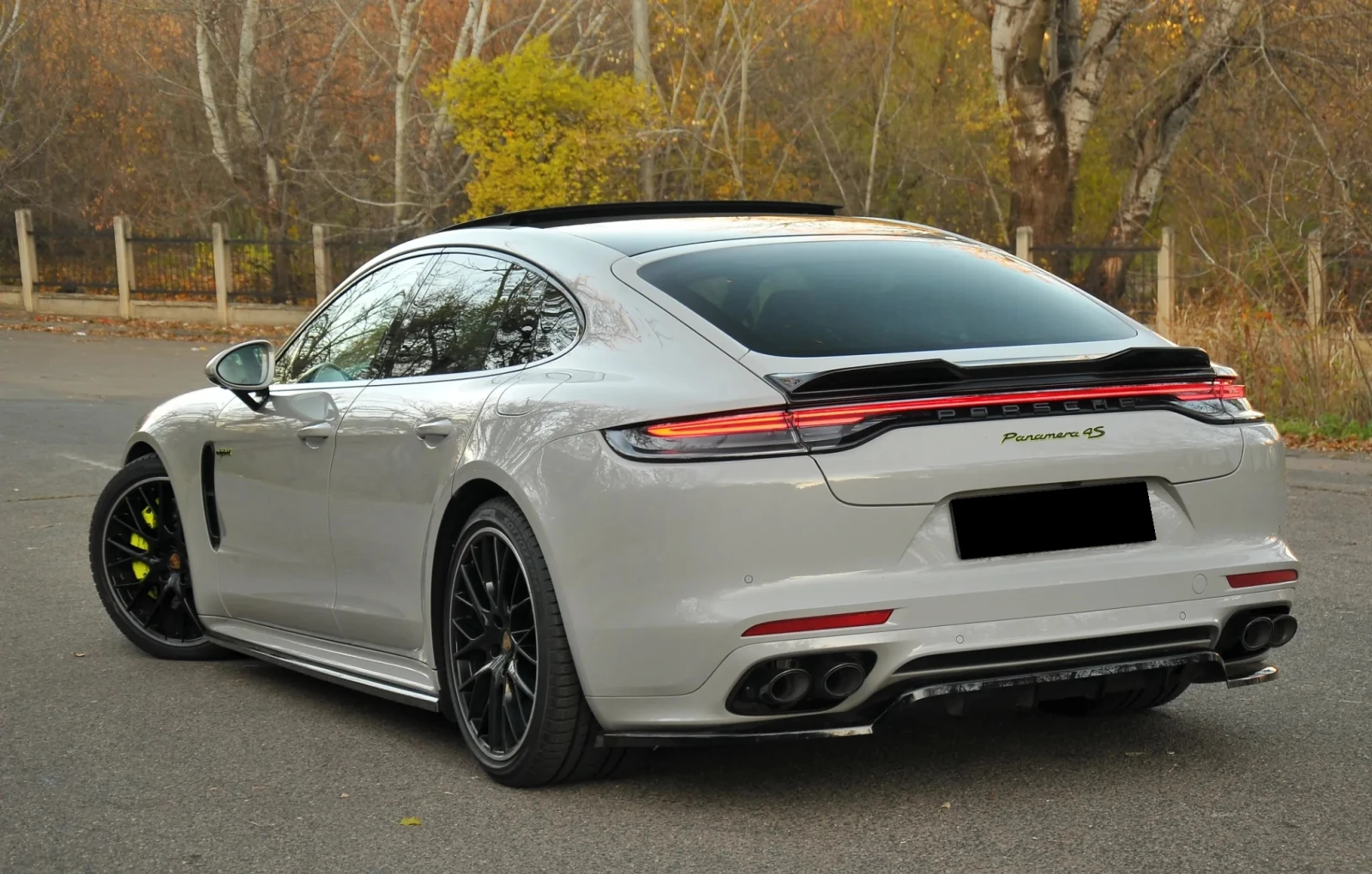 Porsche Panamera 4S 2.9 V6 E-Hybrid - изображение 3