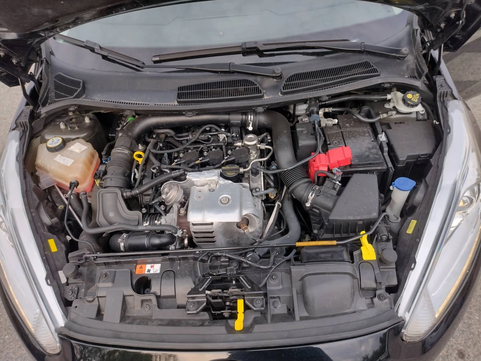 Ford Fiesta 1, 0i UNIKAT+ NAVI | Mobile.bg   17