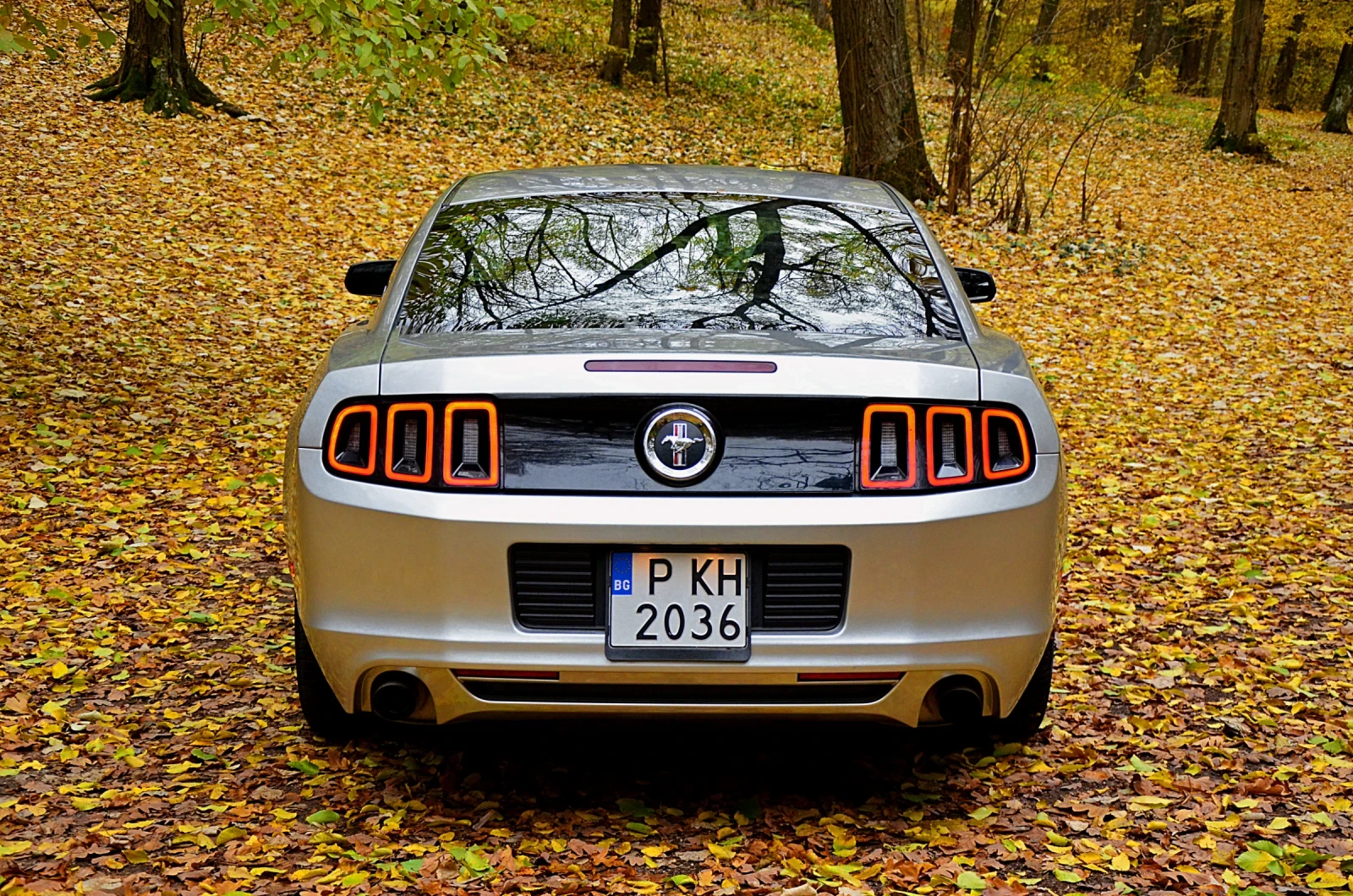 Ford Mustang 3.7 6 v - изображение 3