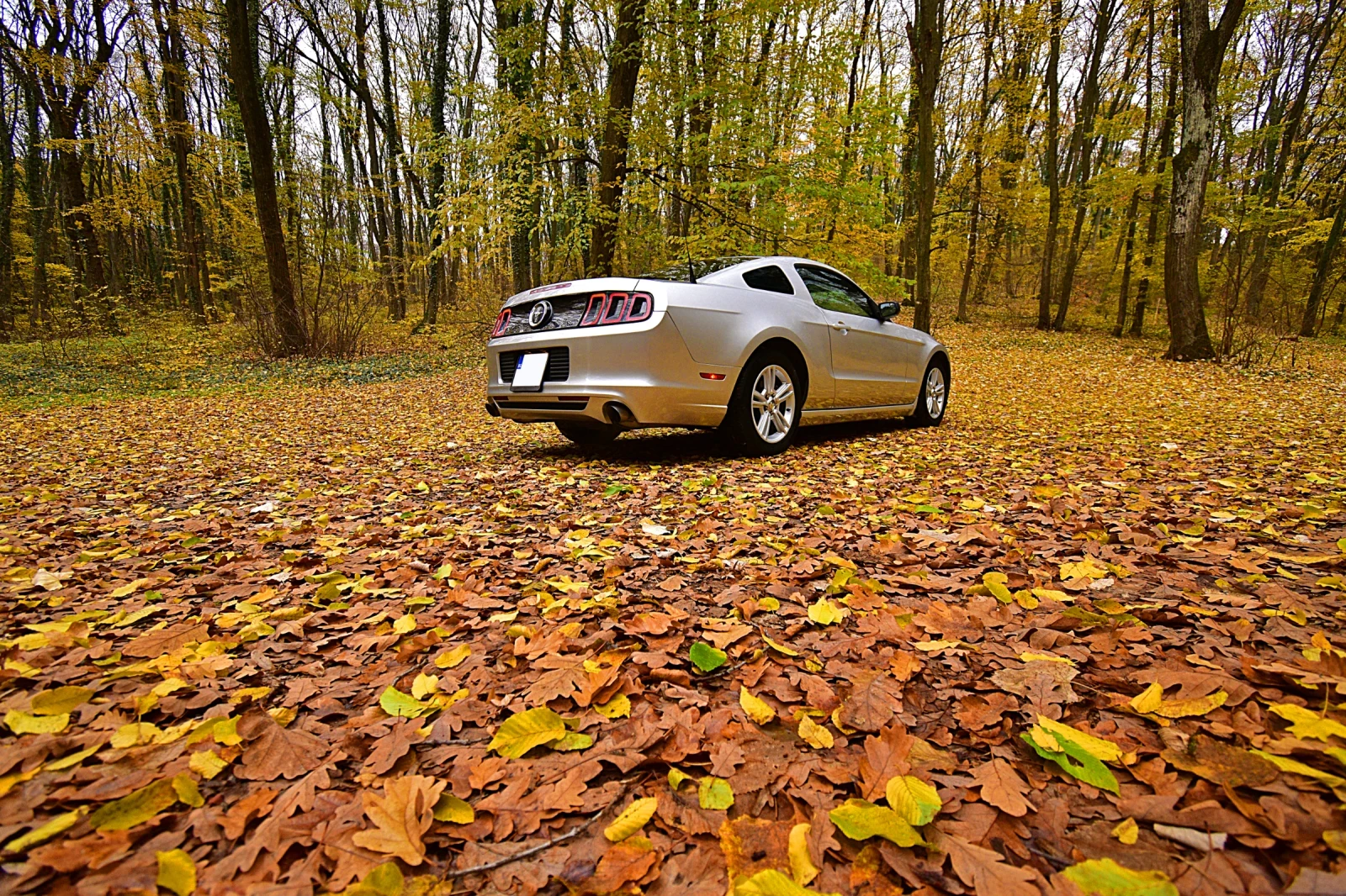 Ford Mustang 3.7 6 v - изображение 2