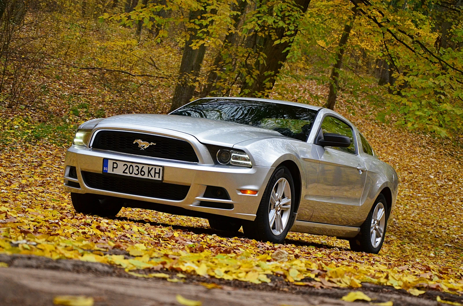 Ford Mustang 3.7 6 v - изображение 5