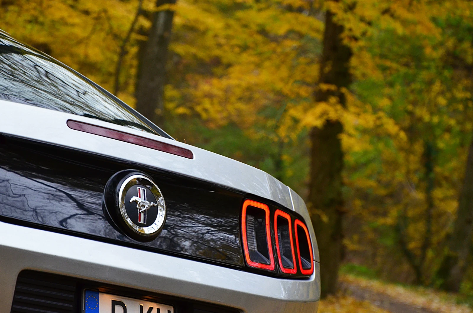 Ford Mustang 3.7 6 v - изображение 7