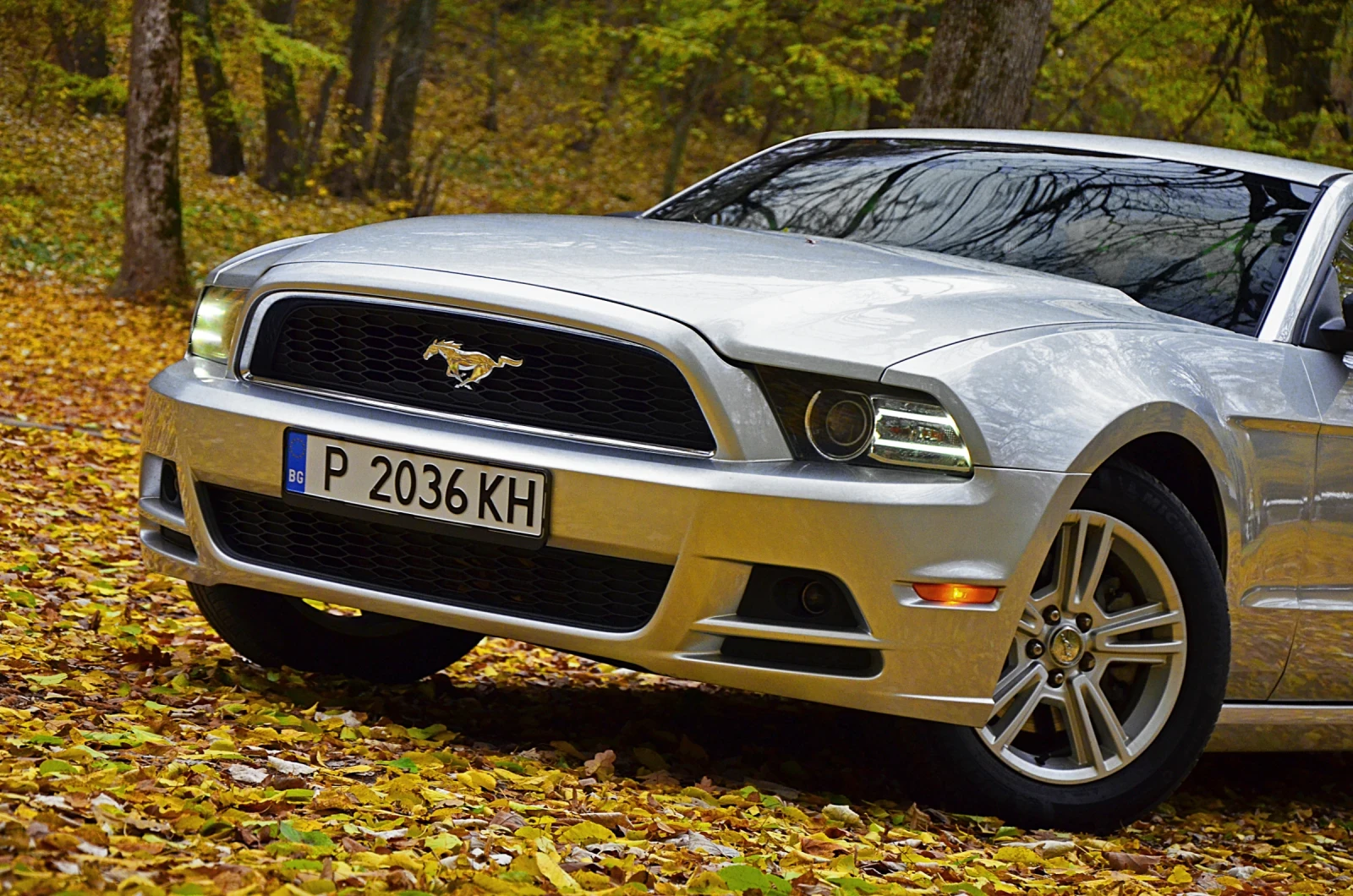 Ford Mustang 3.7 6 v - изображение 8