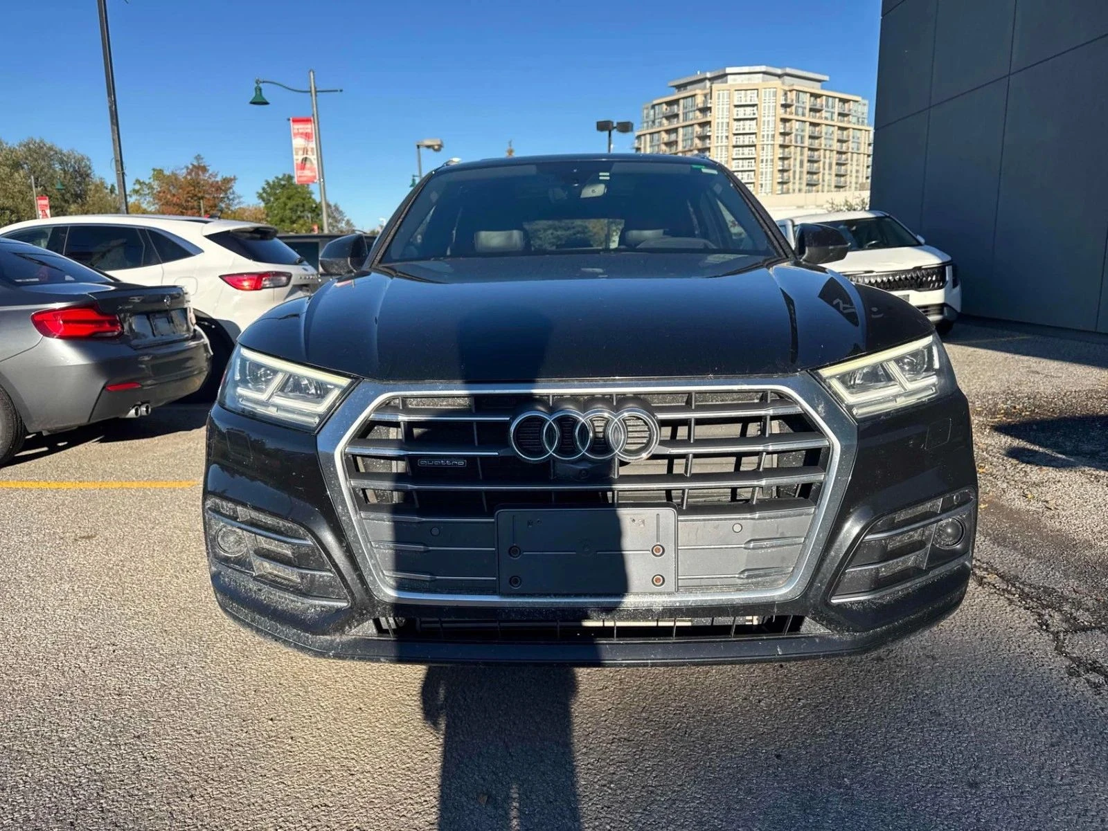 Audi Q5, снимка 5 - Автомобили и джипове - 56731845