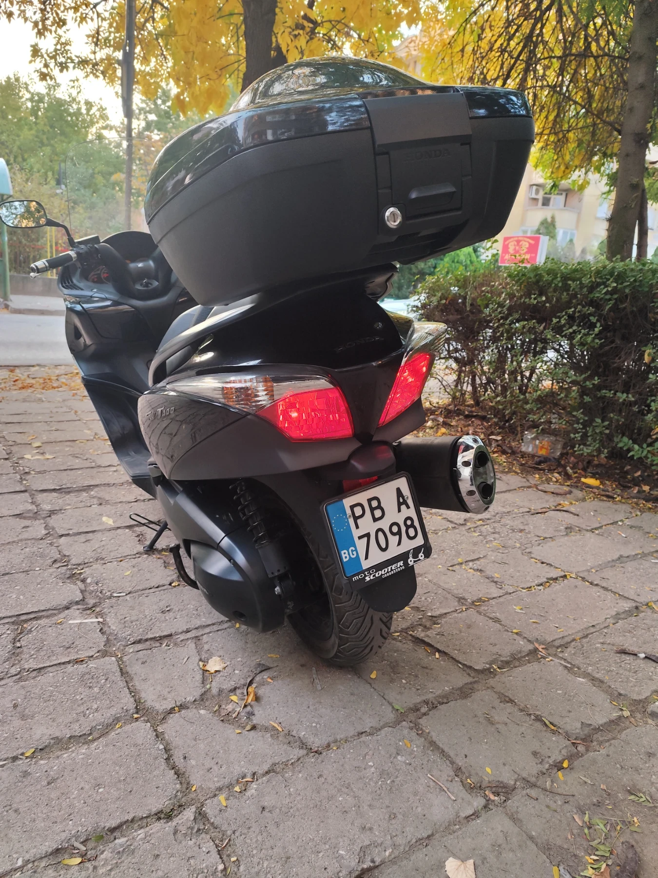 Honda Silver Wing 400 - изображение 6