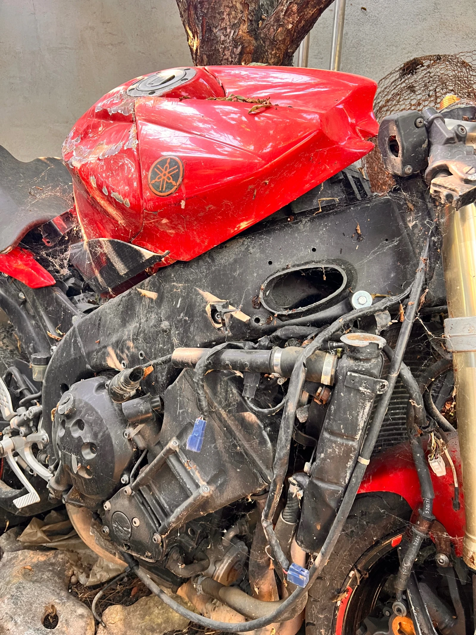 Yamaha YZF-R1 | Mobile.bg � ����������� 4