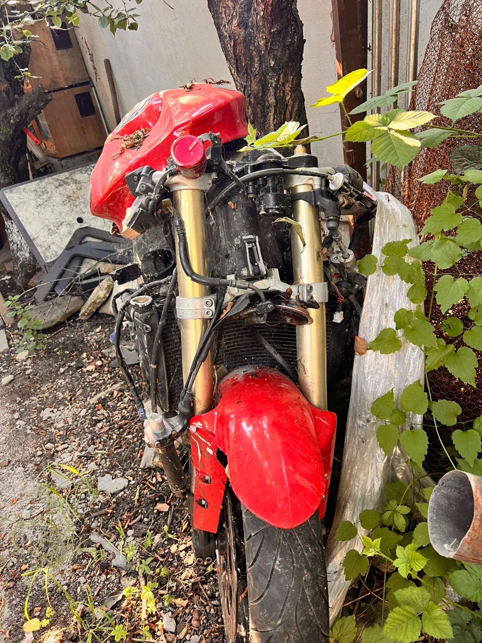 Yamaha YZF-R1 | Mobile.bg � ����������� 5