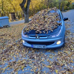 Peugeot 206, снимка 5