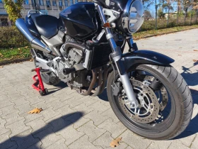 Honda Hornet 600 | Mobile.bg    7