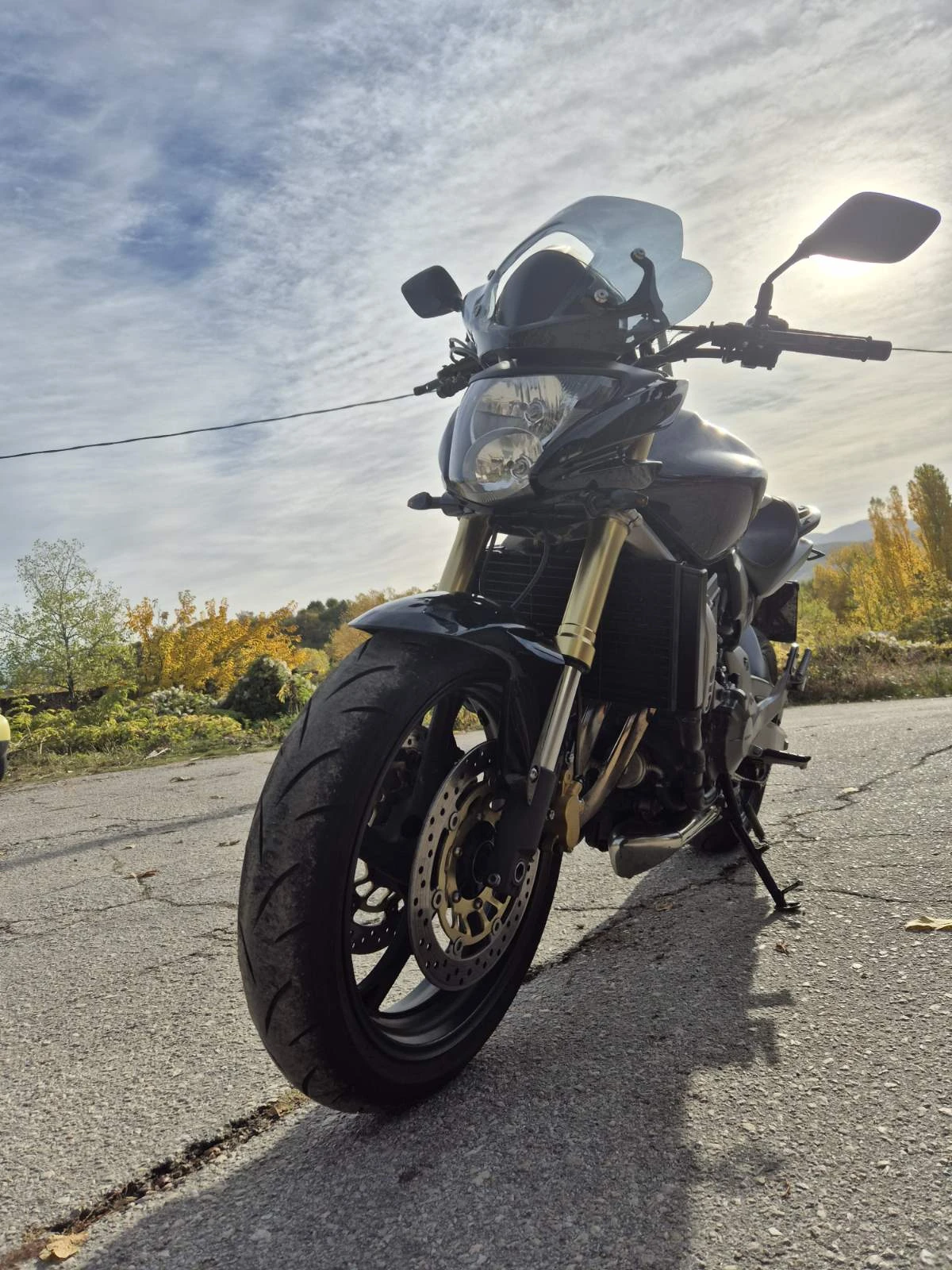 Honda Hornet  - изображение 7