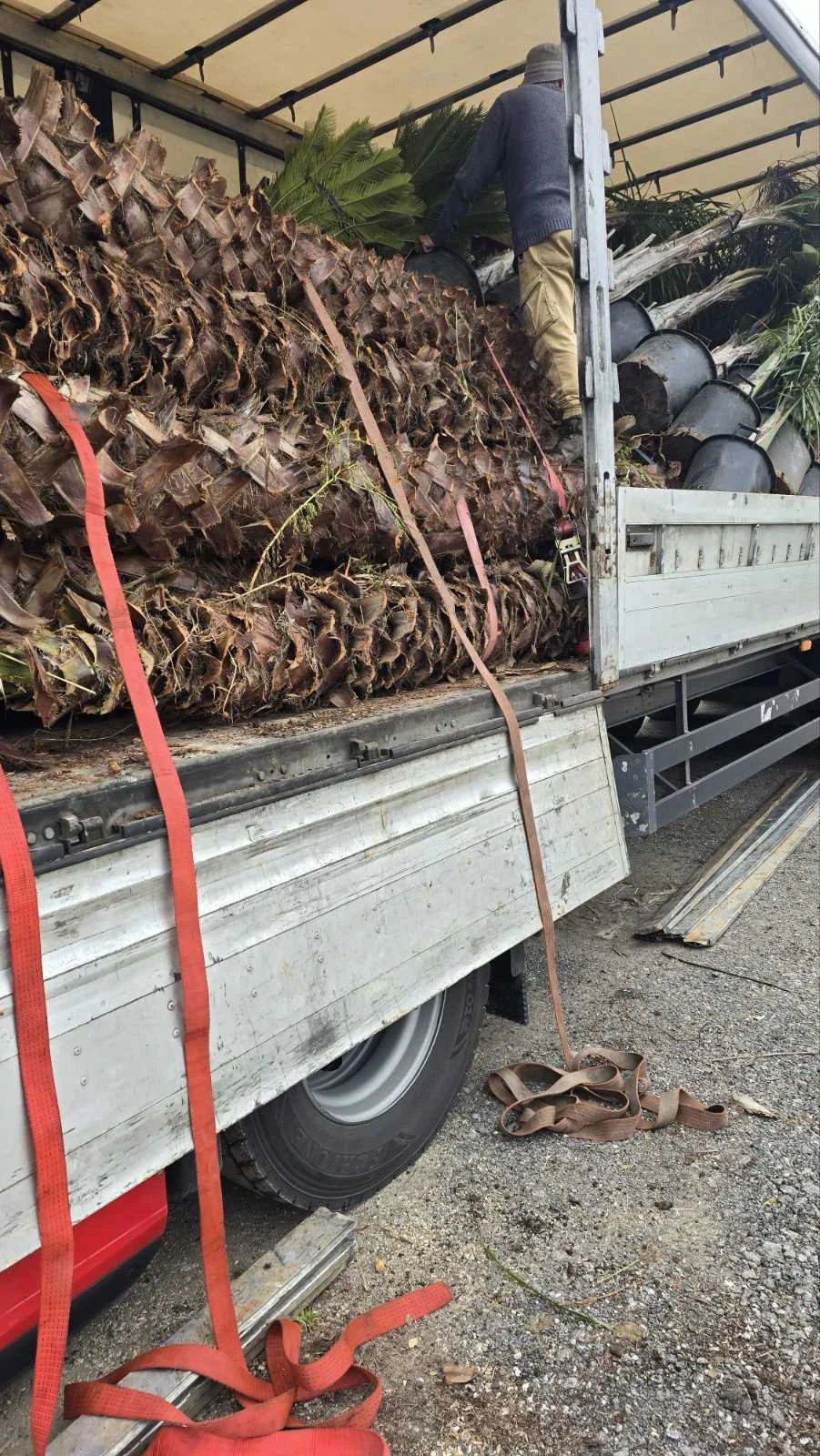Полуремарке Schmitz, снимка 2 - Ремаркета - 55879372