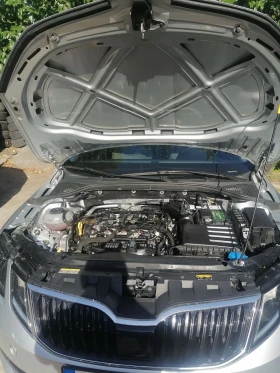 Skoda Octavia 4* 4 - 12900 € - 19837626 17