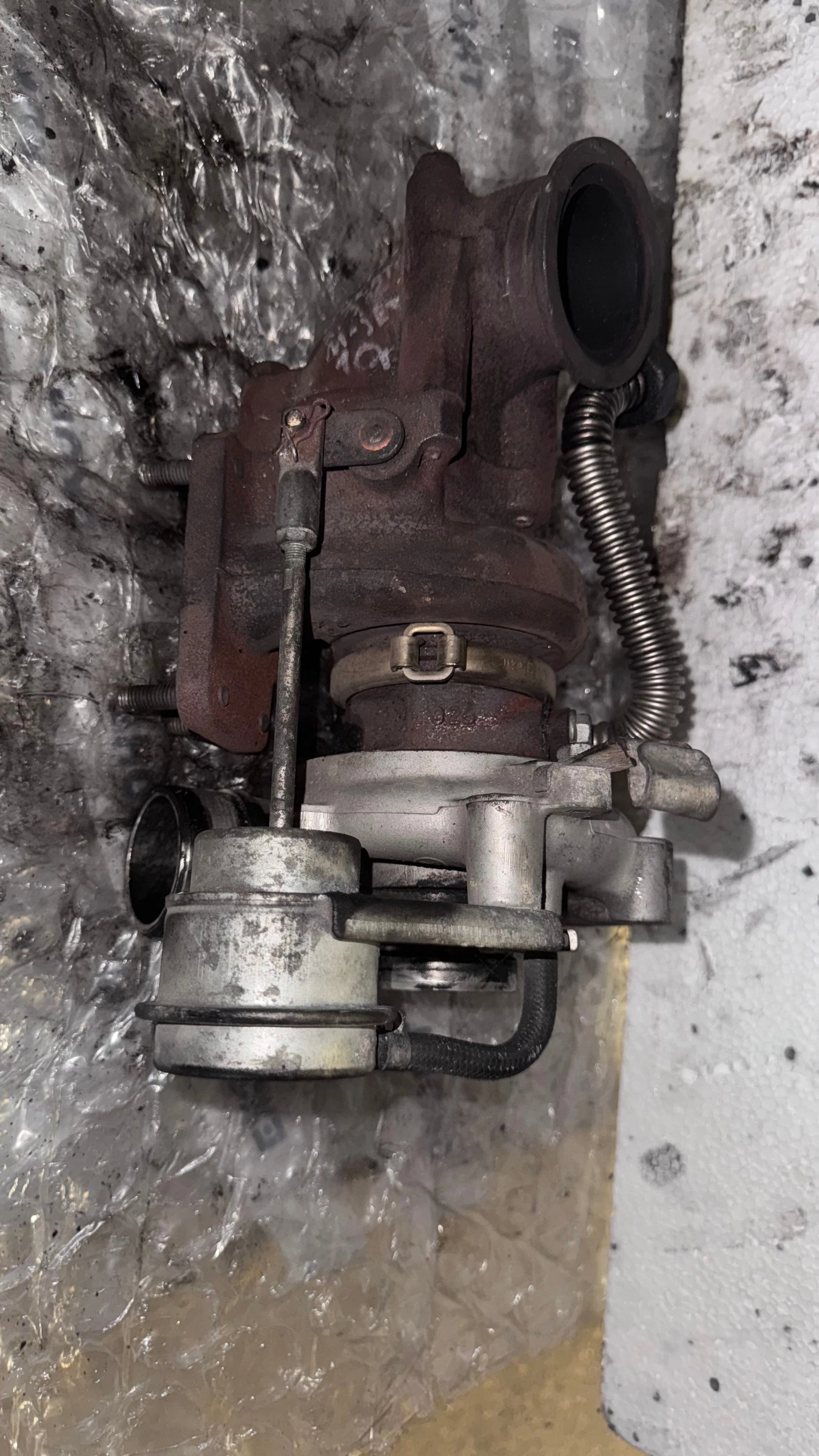    Iveco Daily - 504340182 / 49135-05131 / 8481043 | Mobile.bg   1