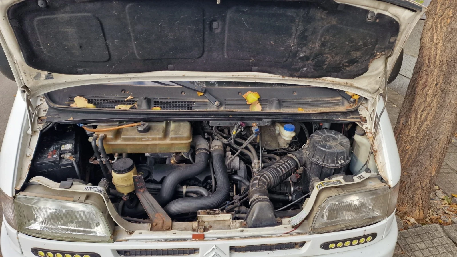 Citroen Jumper | Mobile.bg � ����������� 12