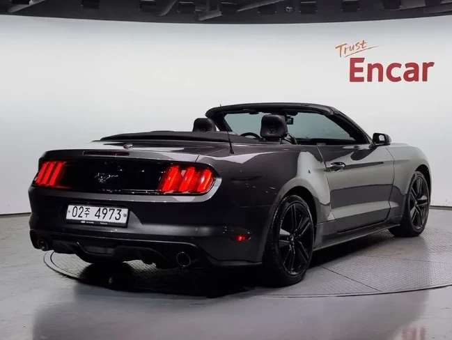 Ford Mustang 3.7 V6 - изображение 2