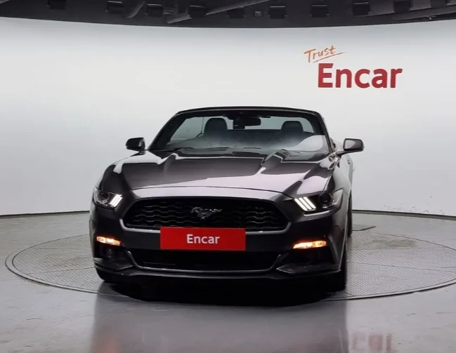Ford Mustang 3.7 V6 - изображение 3
