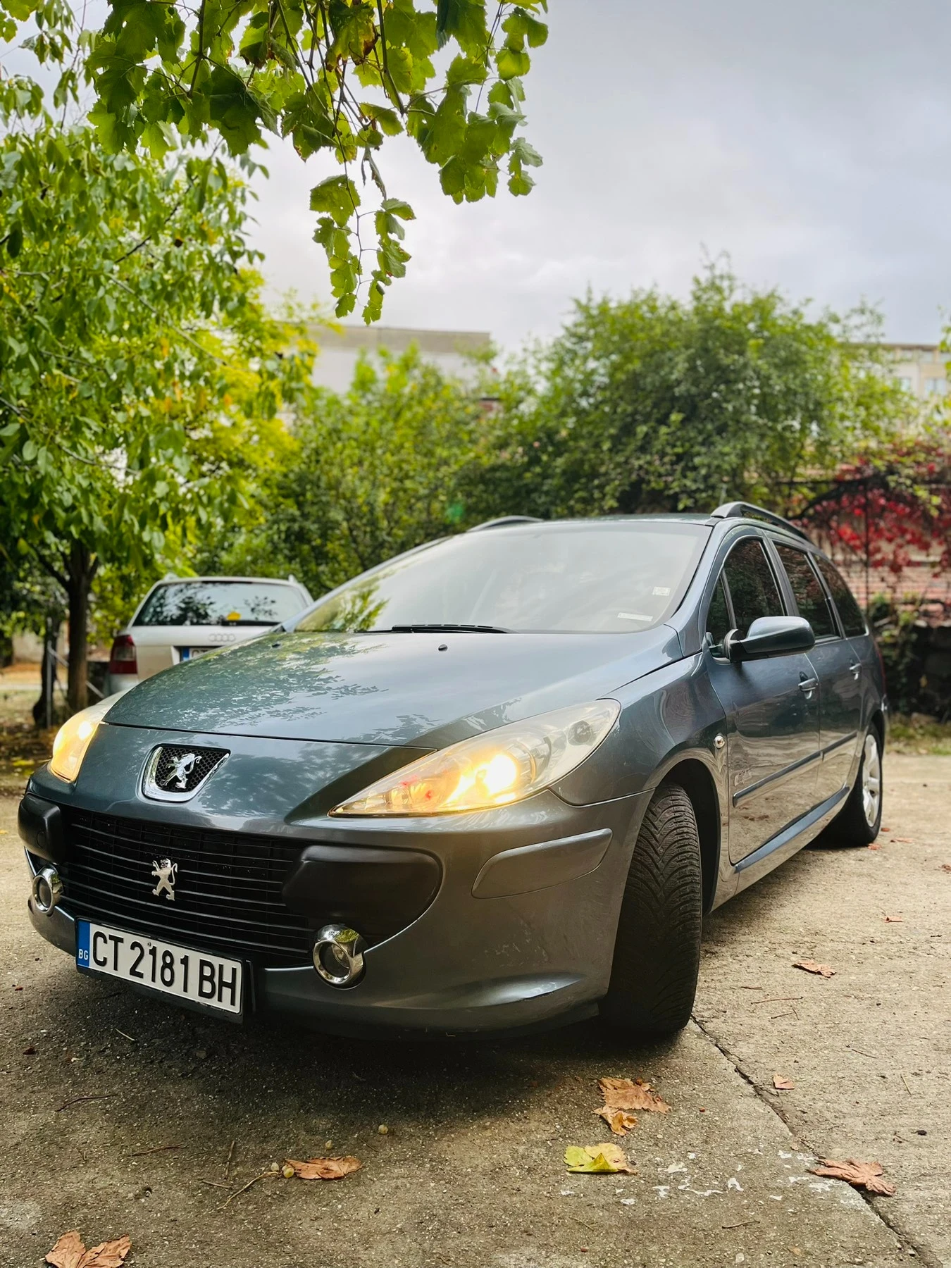 Peugeot 307 307sw | Mobile.bg   14