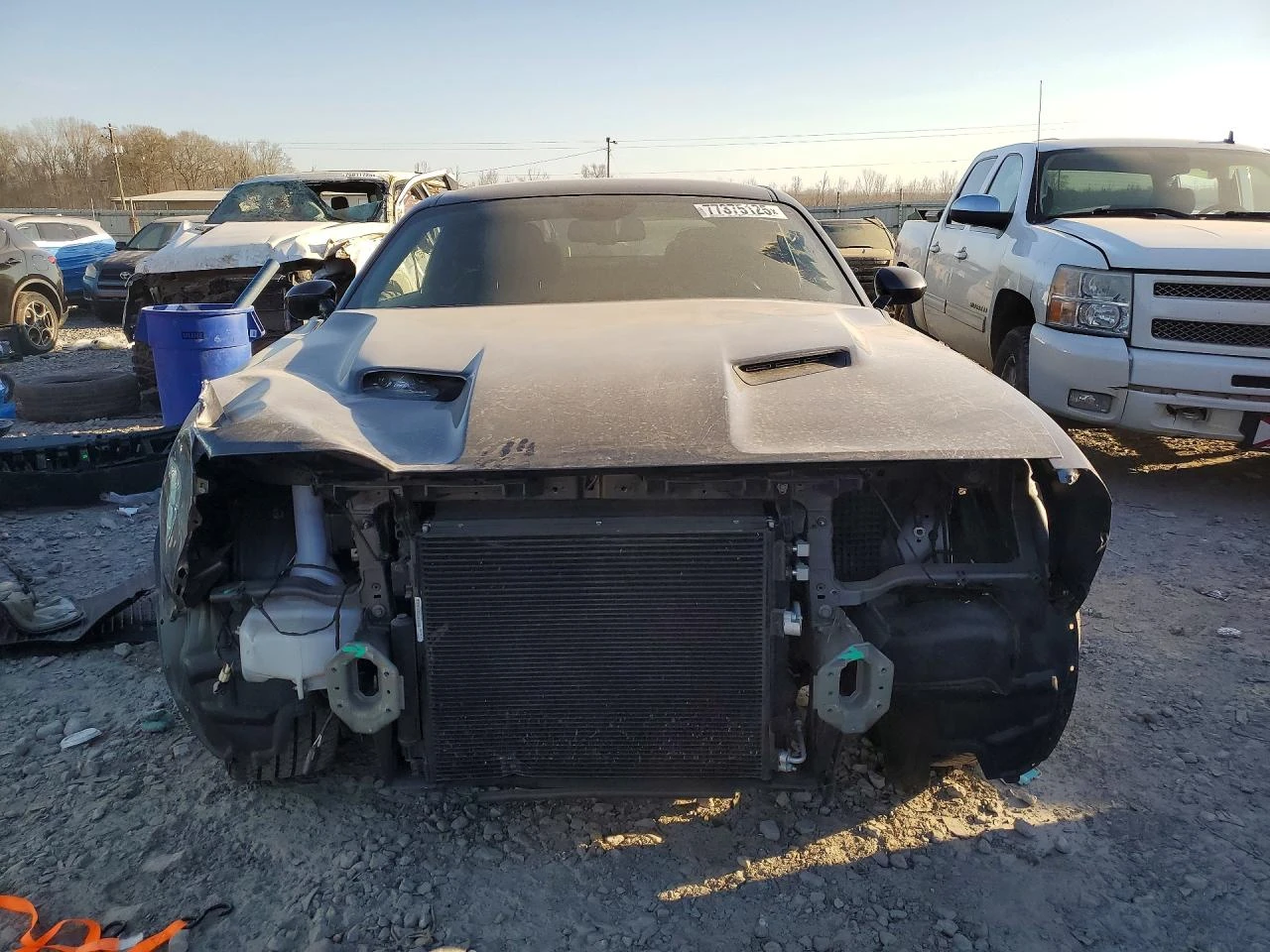 Dodge Challenger * SXT* 3.6* V6* , снимка 3 - Автомобили и джипове - 54030040