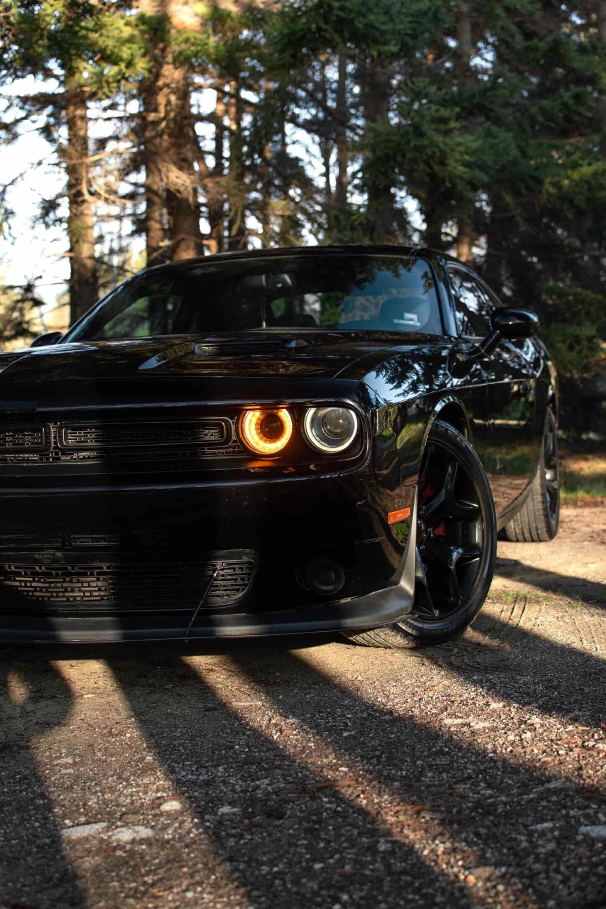 Dodge Challenger, снимка 3 - Автомобили и джипове - 54383597