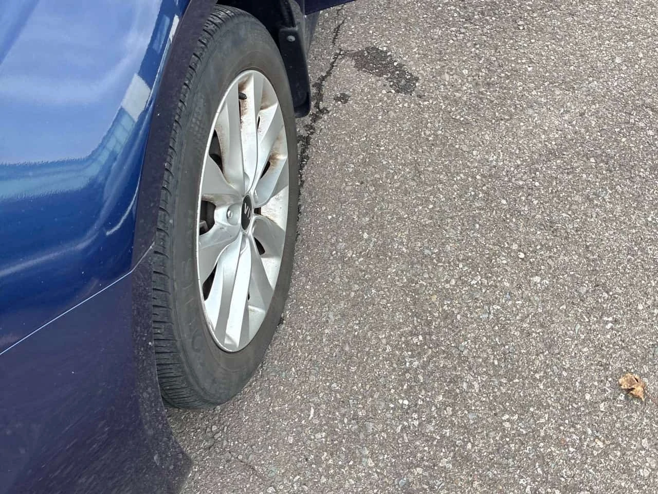 Kia Optima * EX * ���������� ��� ������������ ������*  | Mobile.bg � ����������� 14