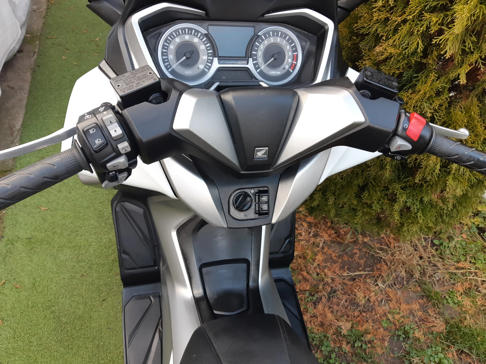 Honda Forza 300/TCS/Abs/ led | Mobile.bg   15