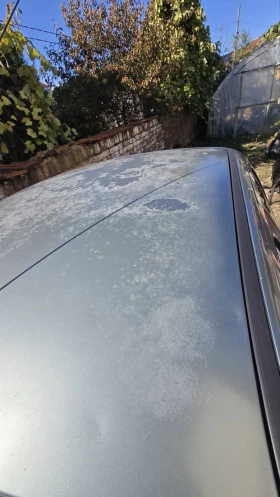 Peugeot 206 - 2500 лв. / 1278.23 € - 99037194 10