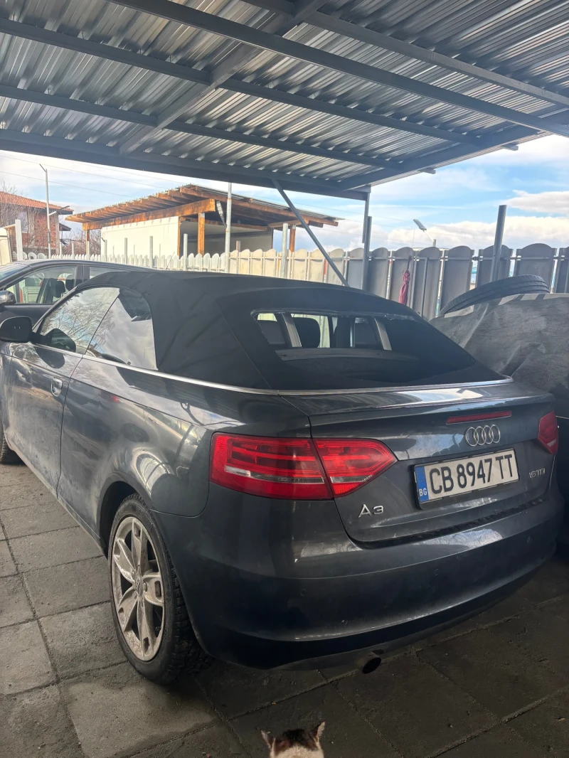 Audi A3 кабрио 1.6, снимка 5 - Автомобили и джипове - 53406107