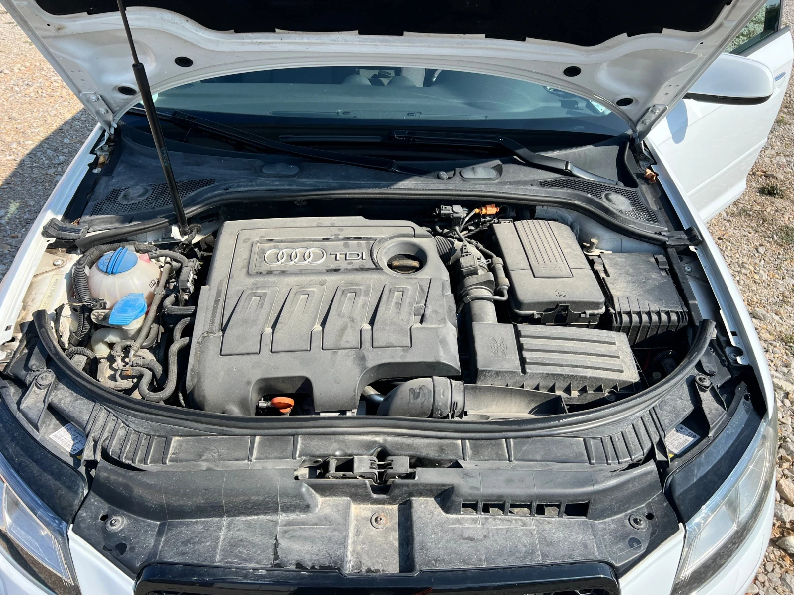 Audi A3 1.6 Sportbeck | Mobile.bg   14