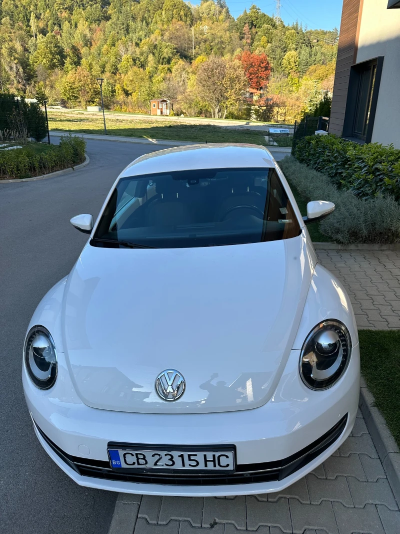 VW New beetle, снимка 1 - Автомобили и джипове - 49500472