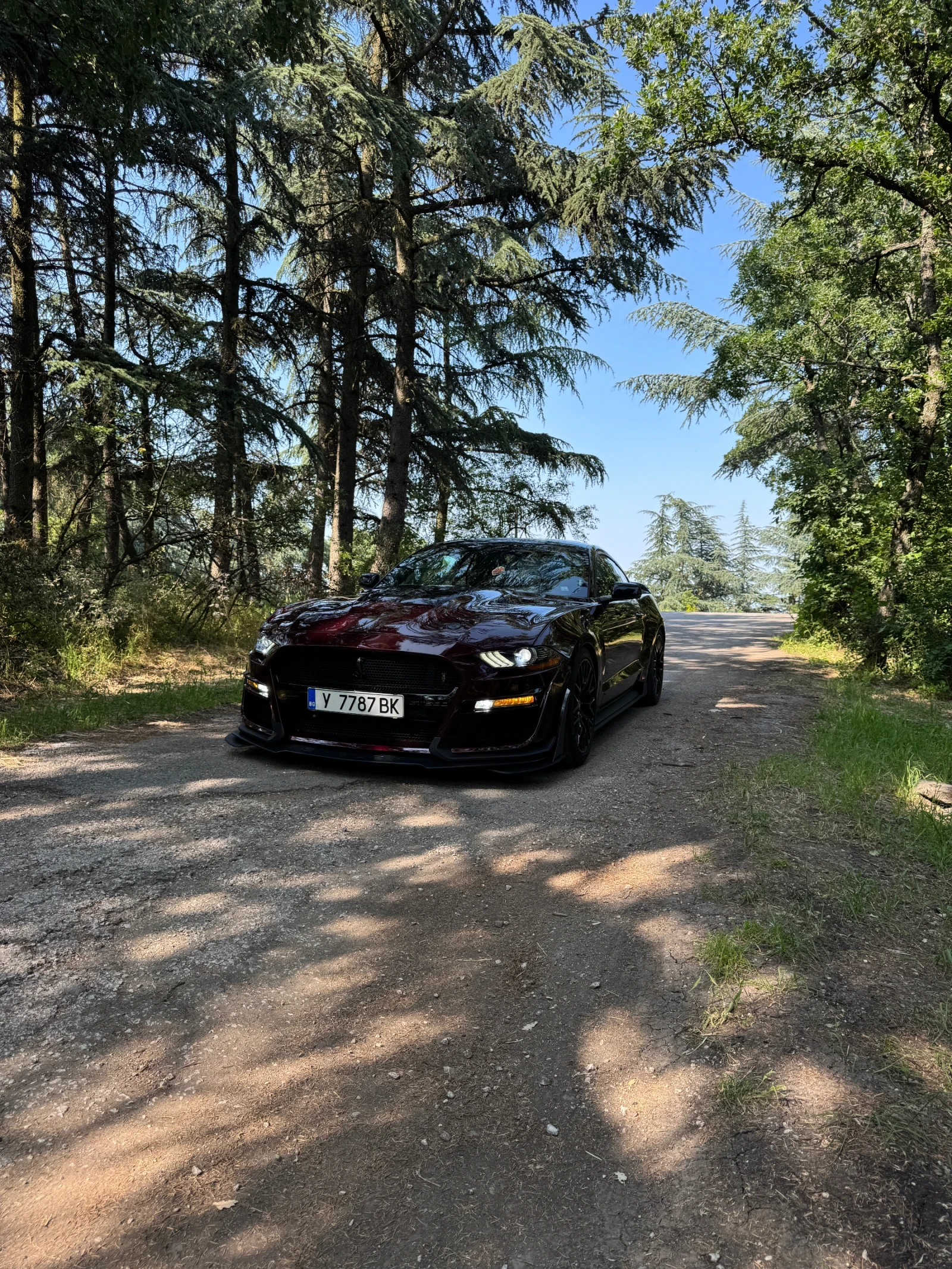 Ford Mustang | Mobile.bg � ����������� 15