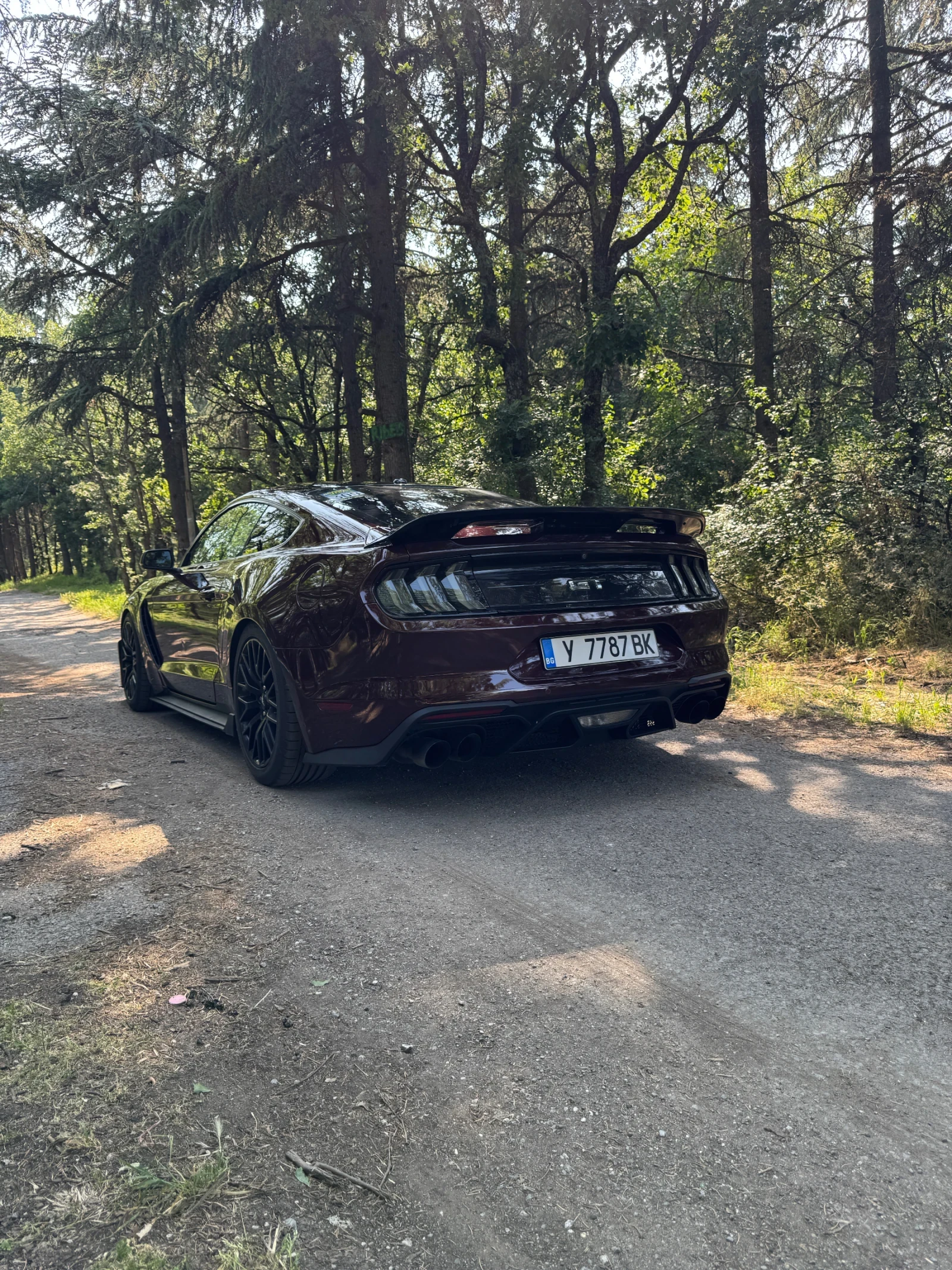 Ford Mustang  - изображение 7