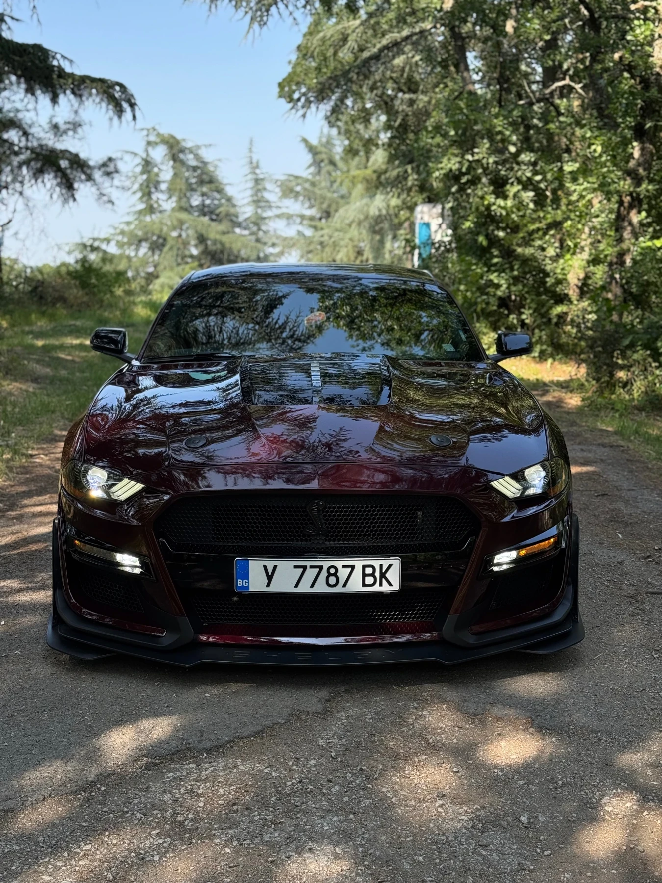 Ford Mustang  - изображение 10