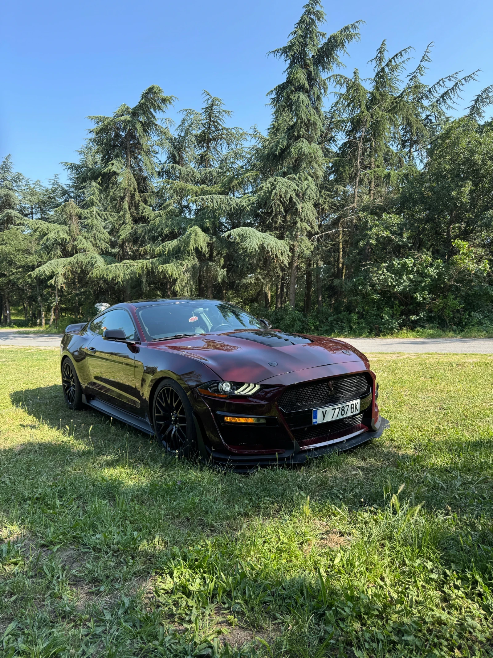 Ford Mustang  - изображение 5