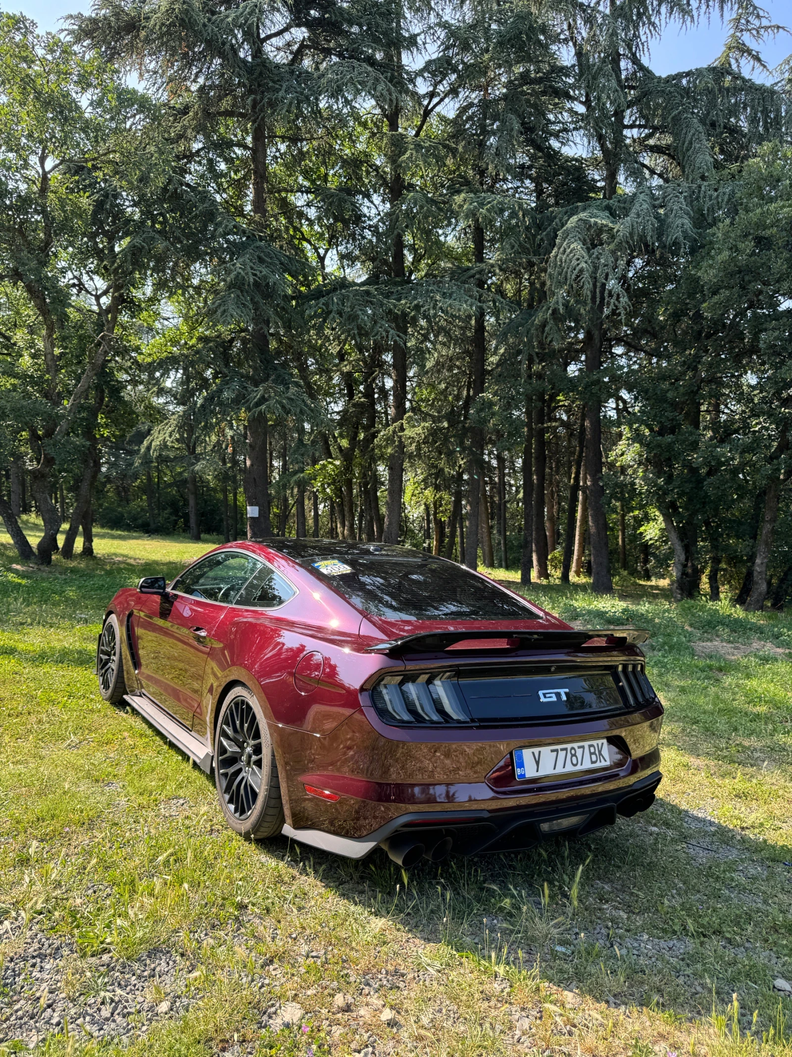 Ford Mustang  - изображение 3