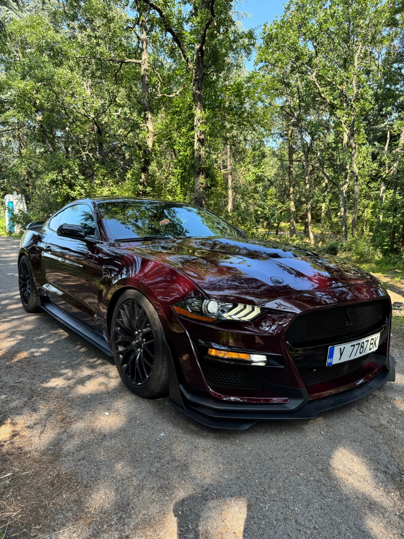 Ford Mustang  - изображение 8