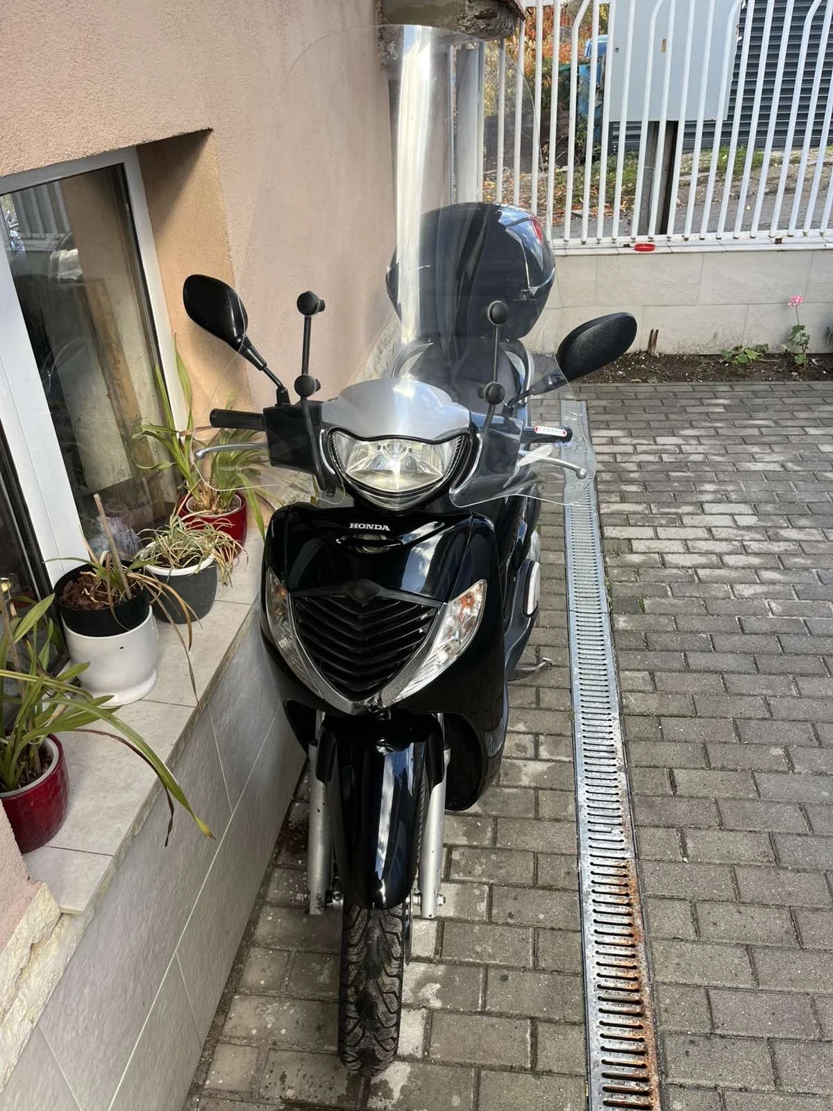 Honda Sh  - изображение 3