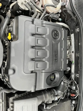 Skoda Octavia - 8500 € / 16624.56 лв. - 99505116 9