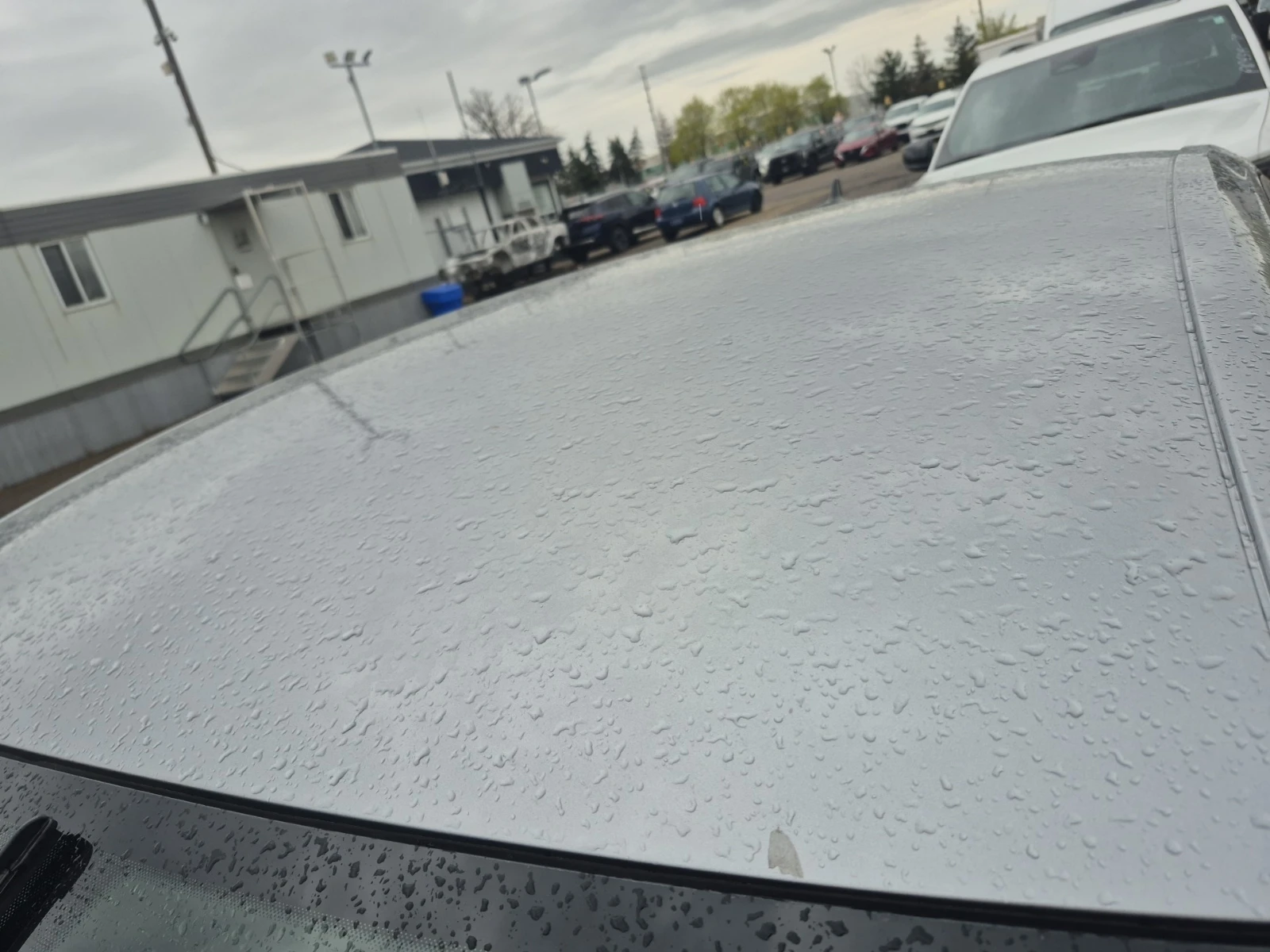 VW Jetta TRENDLINE * * CARFAX * * ���� ������ * *  | Mobile.bg � ����������� 5