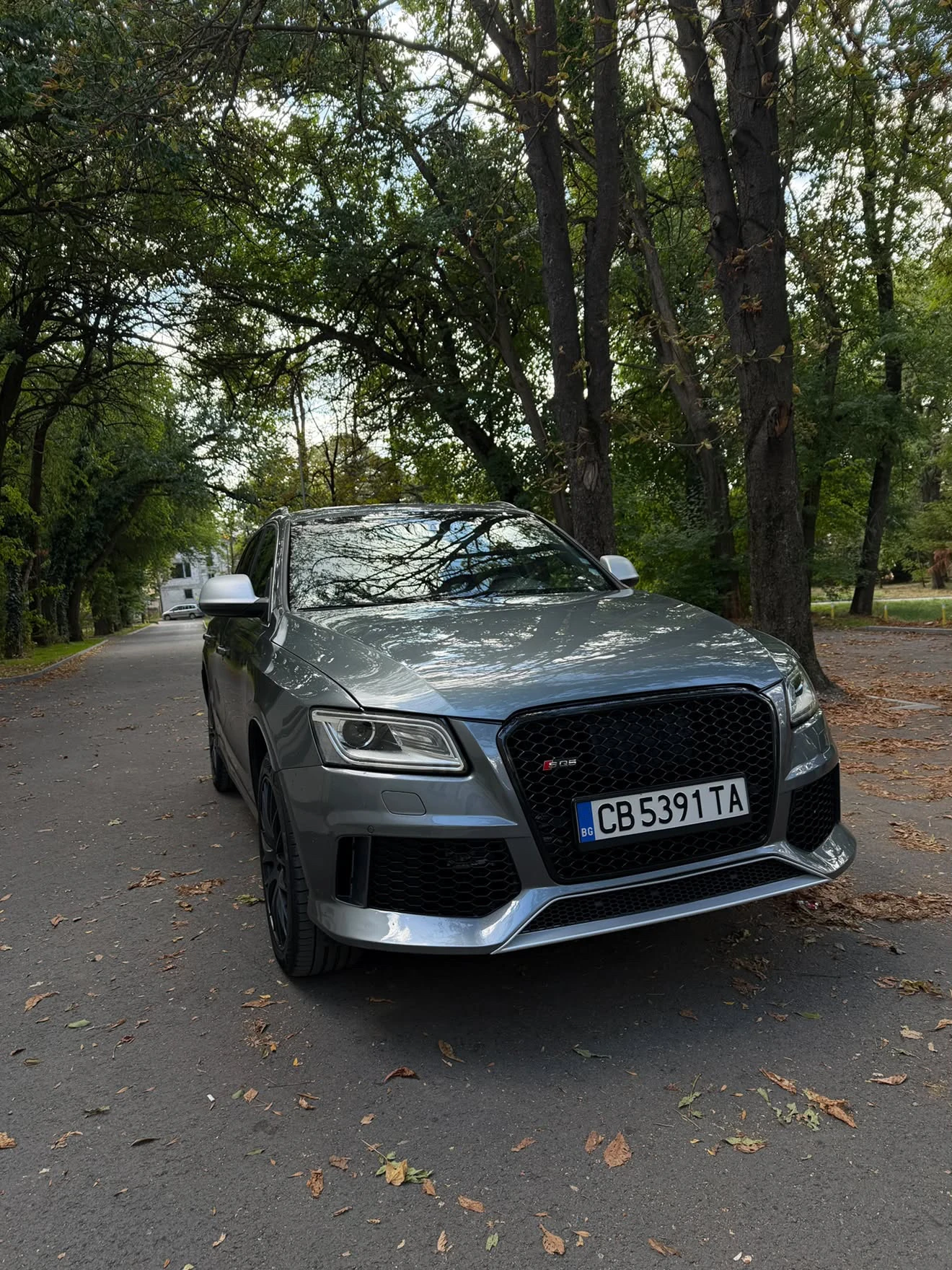 Audi SQ5 3.0TFSI