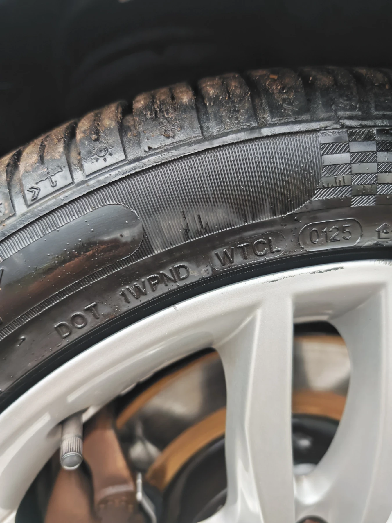 Mercedes-Benz C 300 FACE// TOPP//4MATIC//, /line assessm | Mobile.bg   15