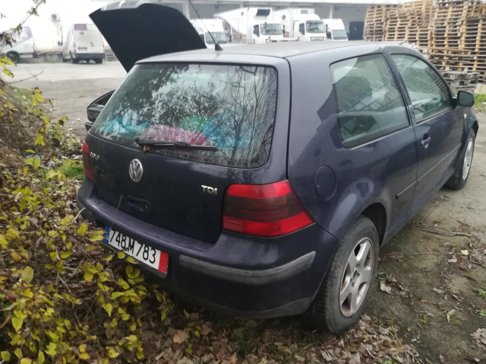 VW Golf Golf, снимка 5 - Автомобили и джипове - 53877586