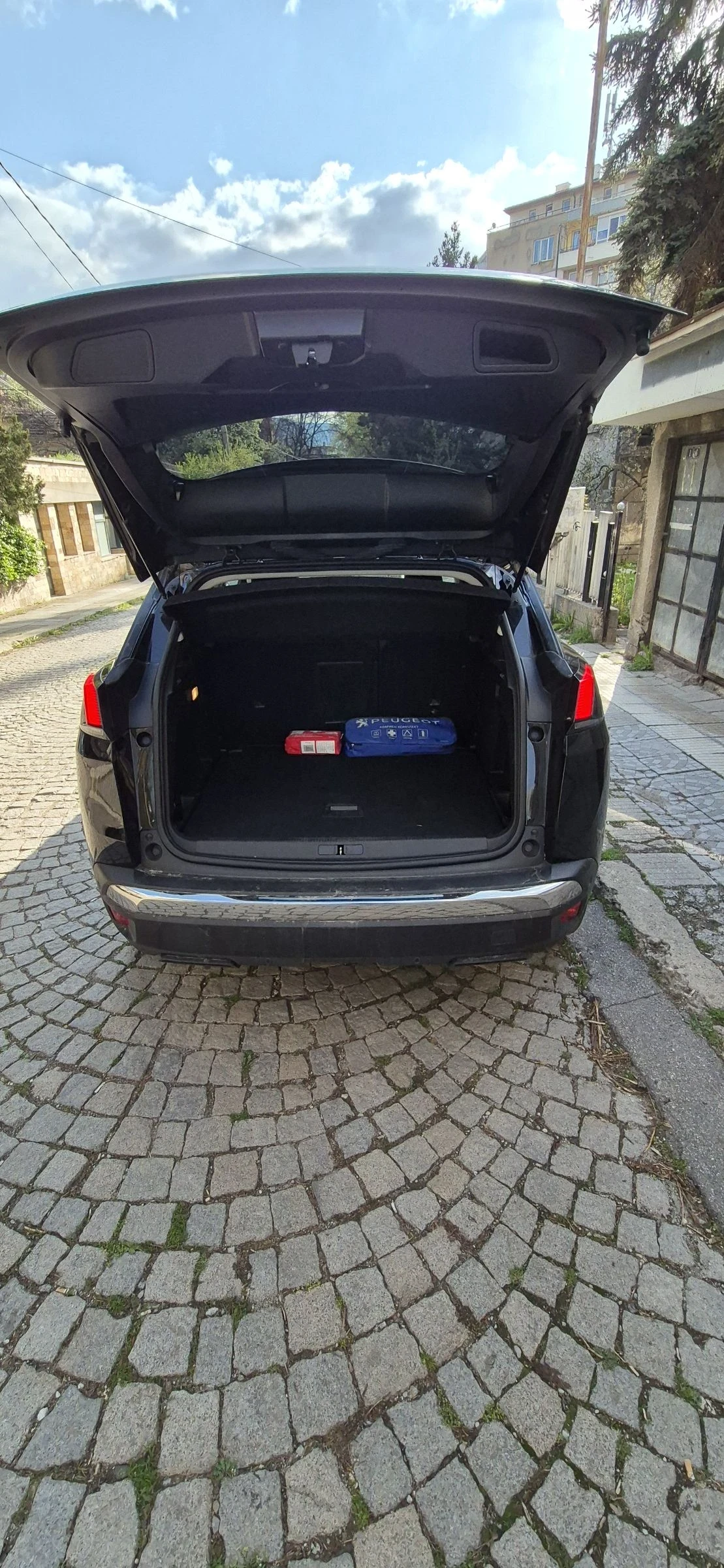 Peugeot 3008  - изображение 3