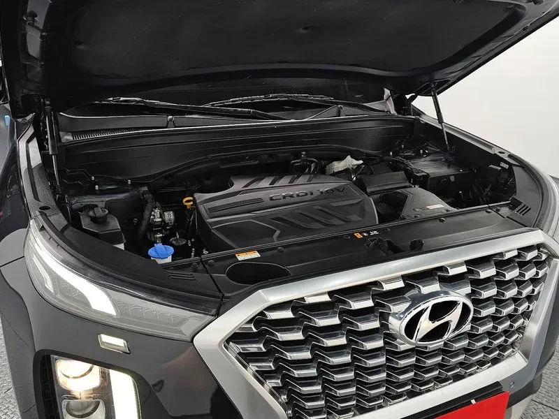 Hyundai Palisade 2.2 CRDI, снимка 6 - Автомобили и джипове - 54678747