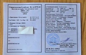 Джет Yamaha VX Wave Runner, снимка 3