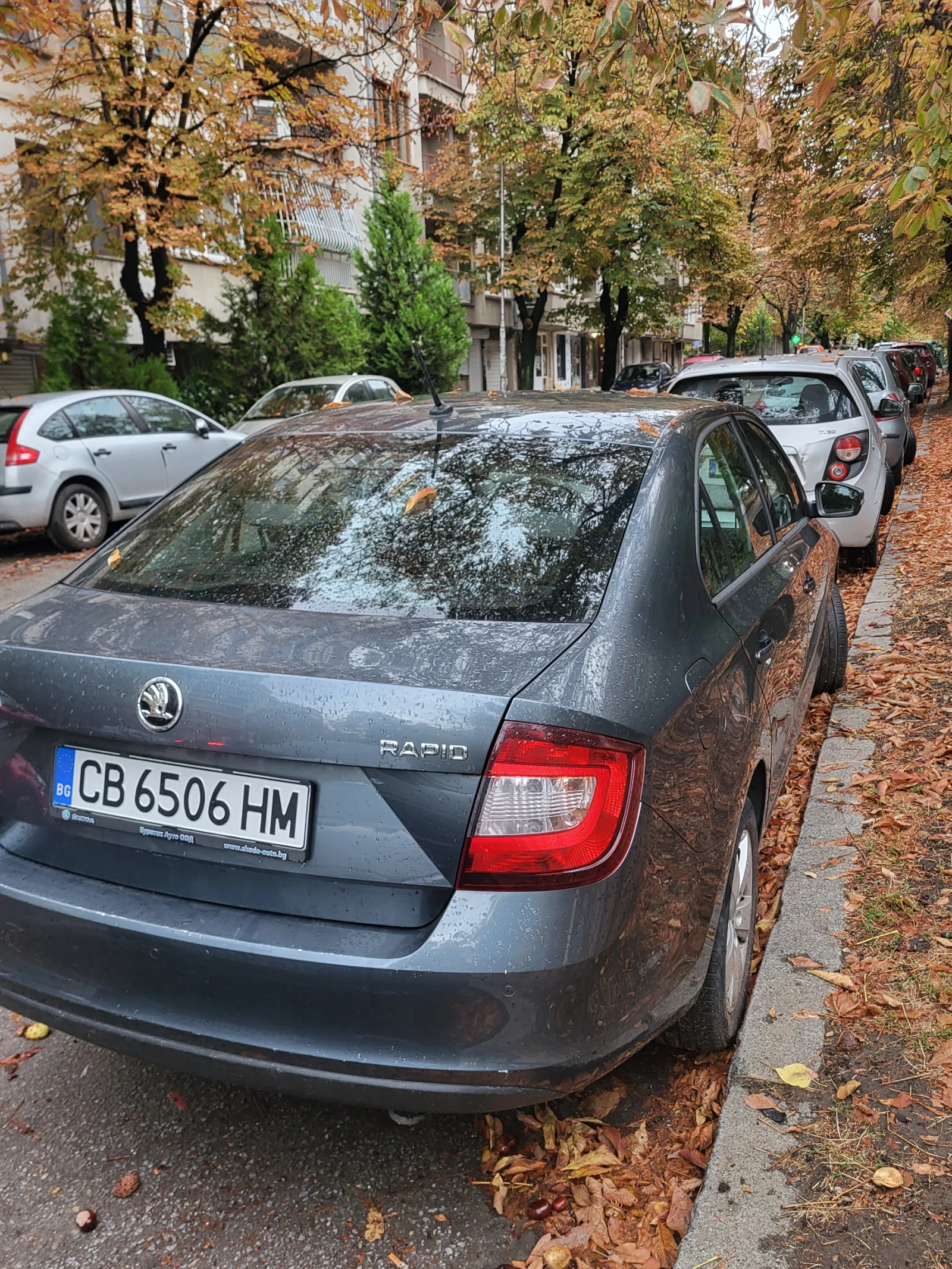 Skoda Rapid, снимка 3 - Автомобили и джипове - 56524103