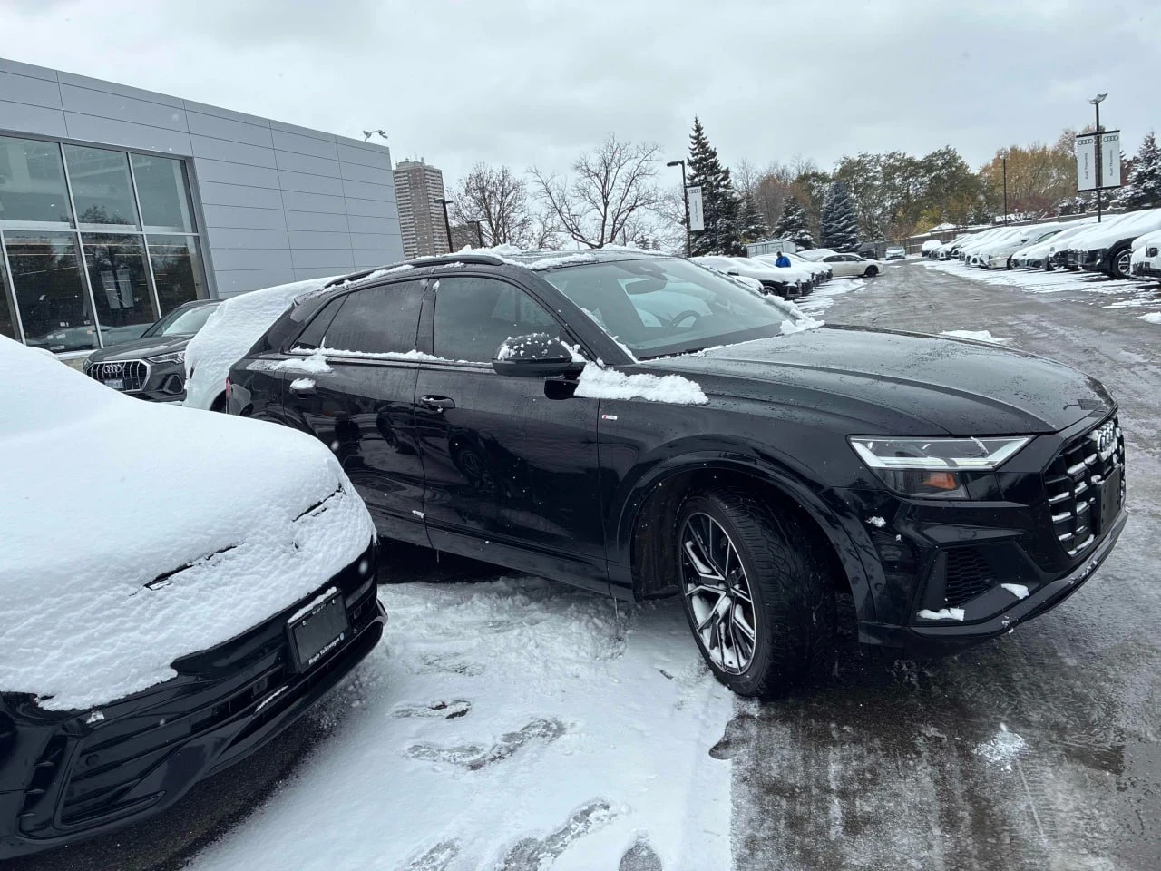 Audi Q8 * Progressiv* * *  | Mobile.bg   2