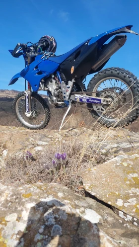     Yamaha Wr Wr450f