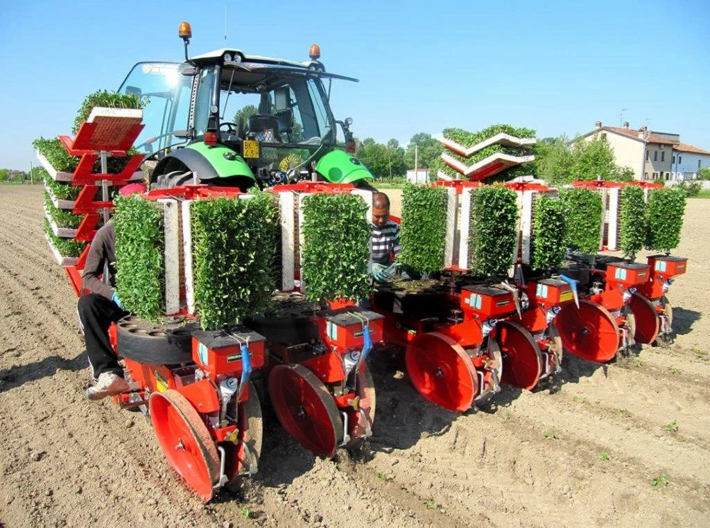     Checchi&Magli  Texdrive | Mobile.bg   1